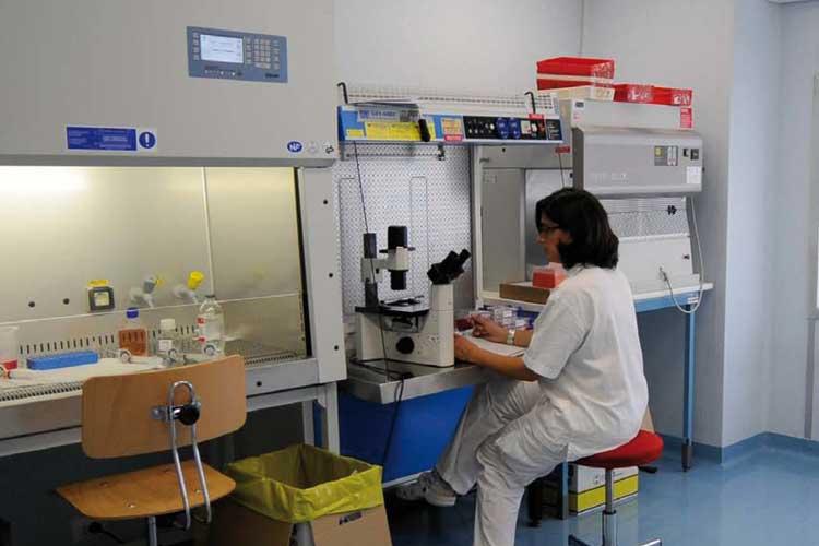 Neinvazivni prenatalni test Genoma Lab